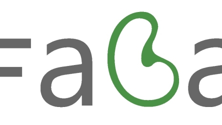 Faba Capital (recenze)